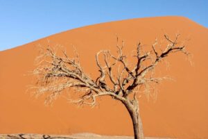 blog-test-2