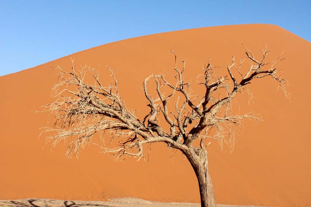 blog-test-2